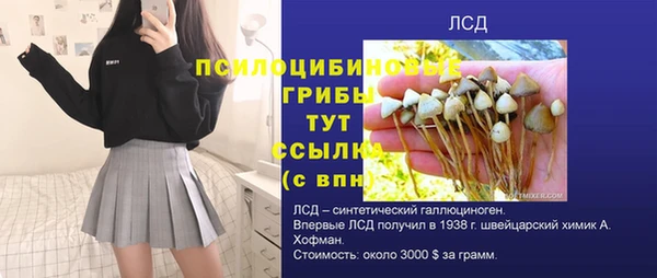 герыч Лиски