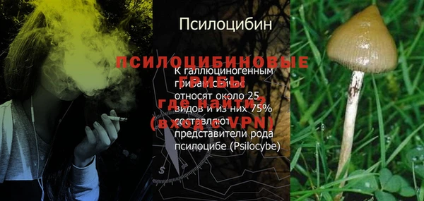 а пвп мука Липки