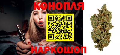 прущий лед Кингисепп