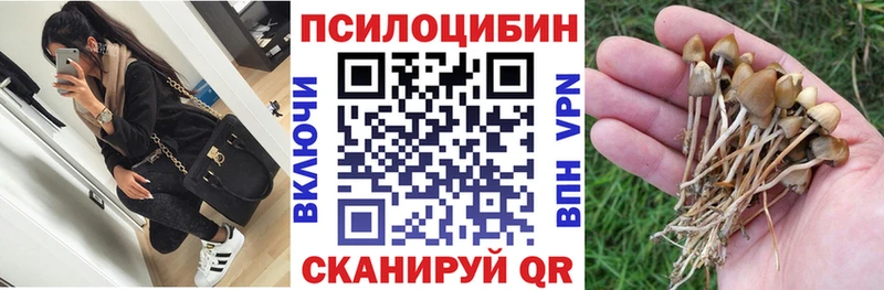 Галлюциногенные грибы GOLDEN TEACHER мориарти клад ОМГ ОМГ ТОР Комсомольск-на-Амуре сколько стоит