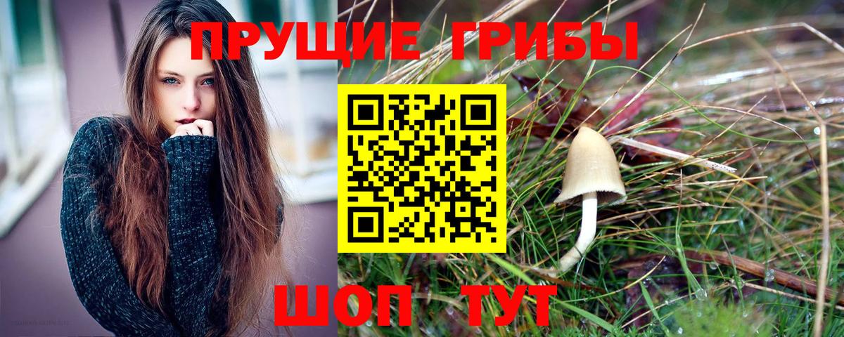 Псилоцибиновые грибы GOLDEN TEACHER  Вход с VPN  Комсомольск-на-Амуре 